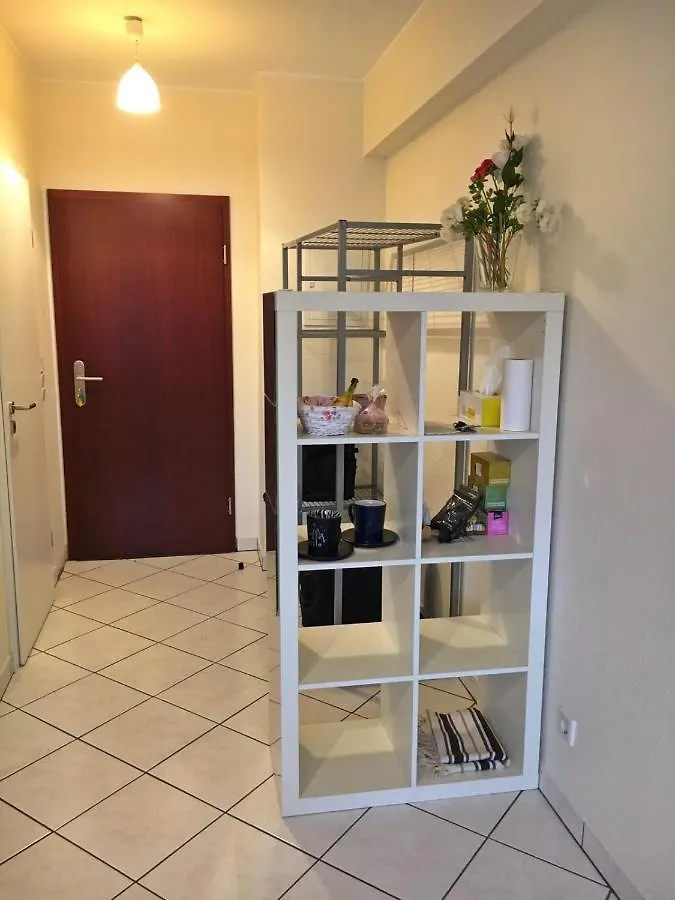 Lejlighed Cozy Studio Apart - King Bed - Netflix - Projector - Fast Wi-Fi Luxembourg By Luxembourg